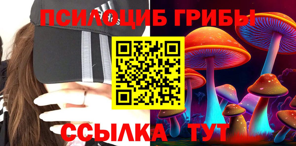 Галлюциногенные грибы GOLDEN TEACHER Борисоглебск